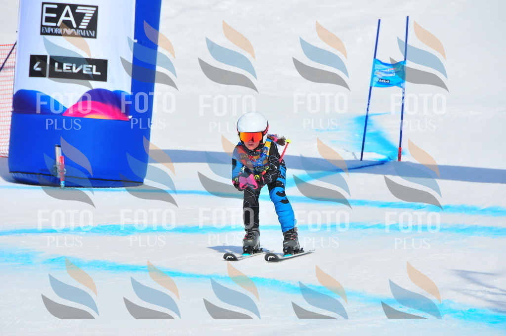 DSC_1377 | holidayphoto