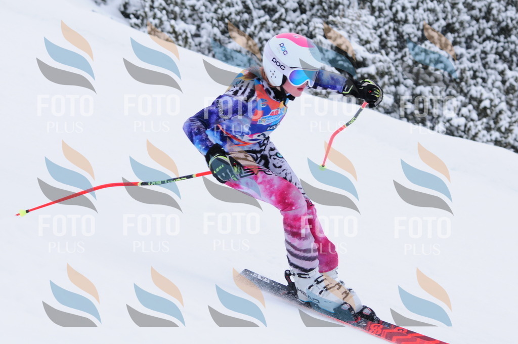 C3732 | holidayphoto