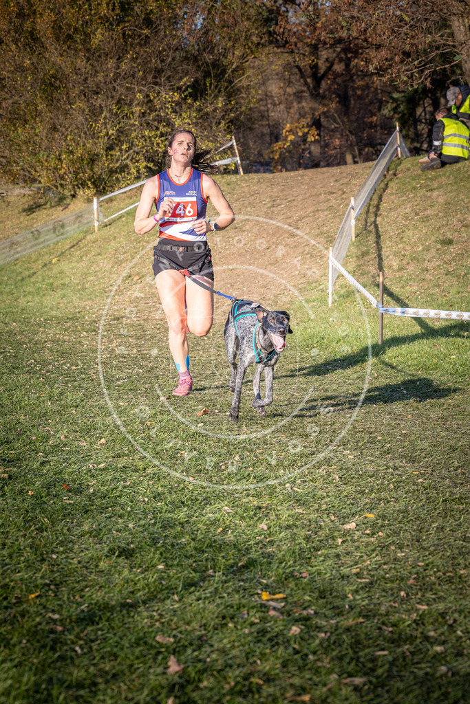 CaniXpix_0L8A9845 | Hundefotografie, Tierfotograf, Pfotenfotografie, Fotoshooting Hund, Hunde Portrait, Hundesport, Hundeportraits, Heideshooting, Hunde, Sportfotograf, Hundefotograf, Turnierhundsport, THS,  - Realisiert mit Pictrs.com