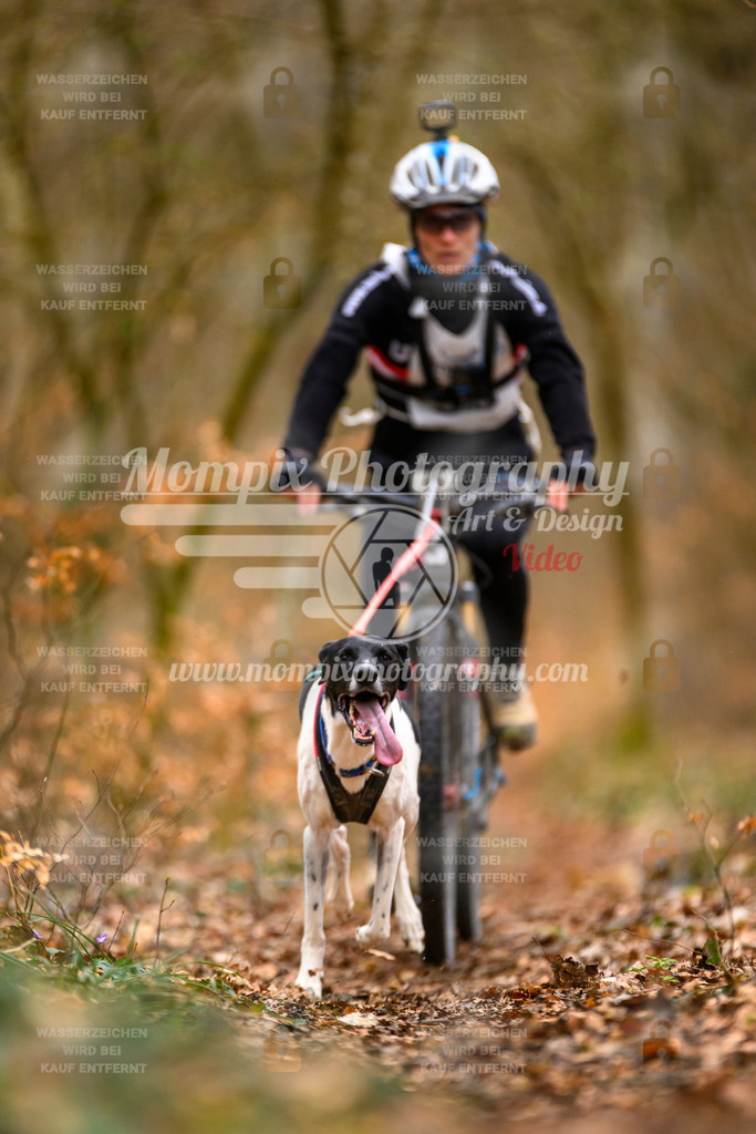MompixPhotography_ReiatRennen2024_SO_Bike1H-22 | PayLife