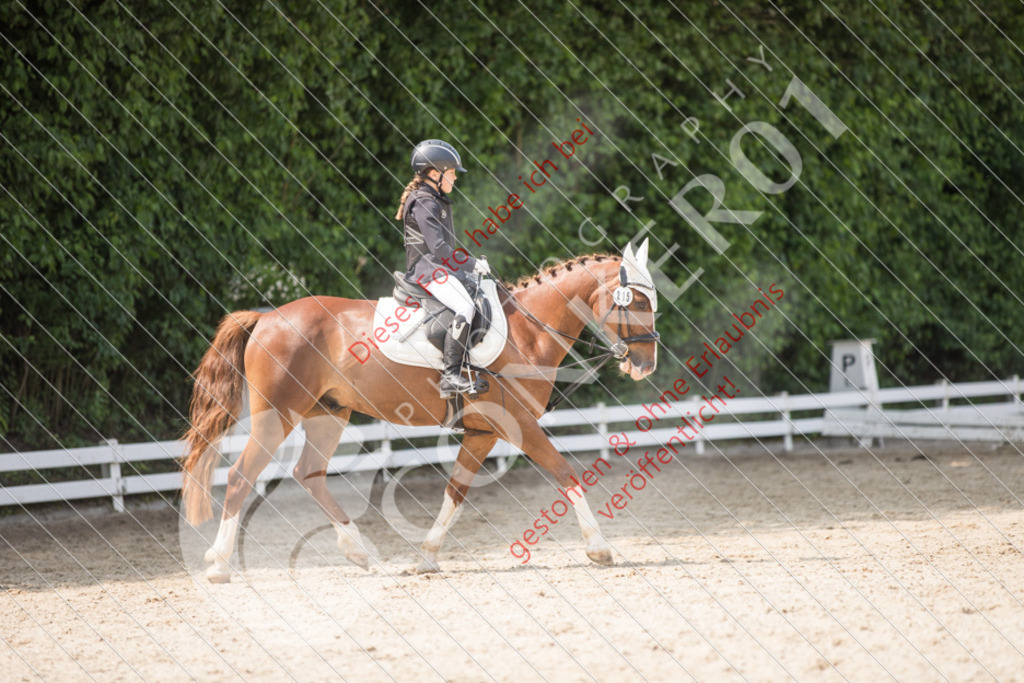 IMG_3361 | Sport-, Event- und Tierfotos in Profiqualität. Einfach auswählen, bestellen und herunterladen. Dein Moment – perfekt festgehalten.