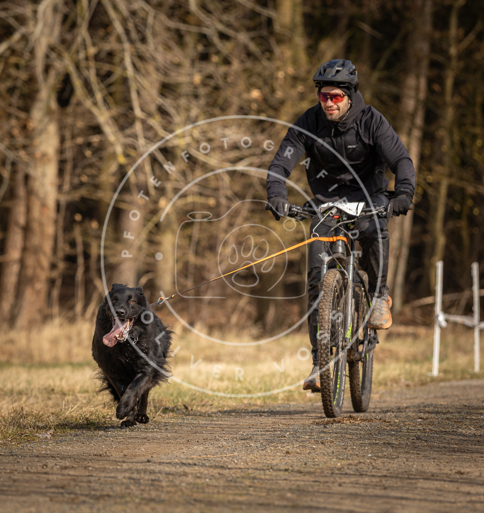 DV3A4393 | Hundefotografie, Tierfotograf, Pfotenfotografie, Fotoshooting Hund, Hunde Portrait, Hundesport, Hundeportraits, Heideshooting, Hunde, Sportfotograf, Hundefotograf, Turnierhundsport, THS,  - Realisiert mit Pictrs.com