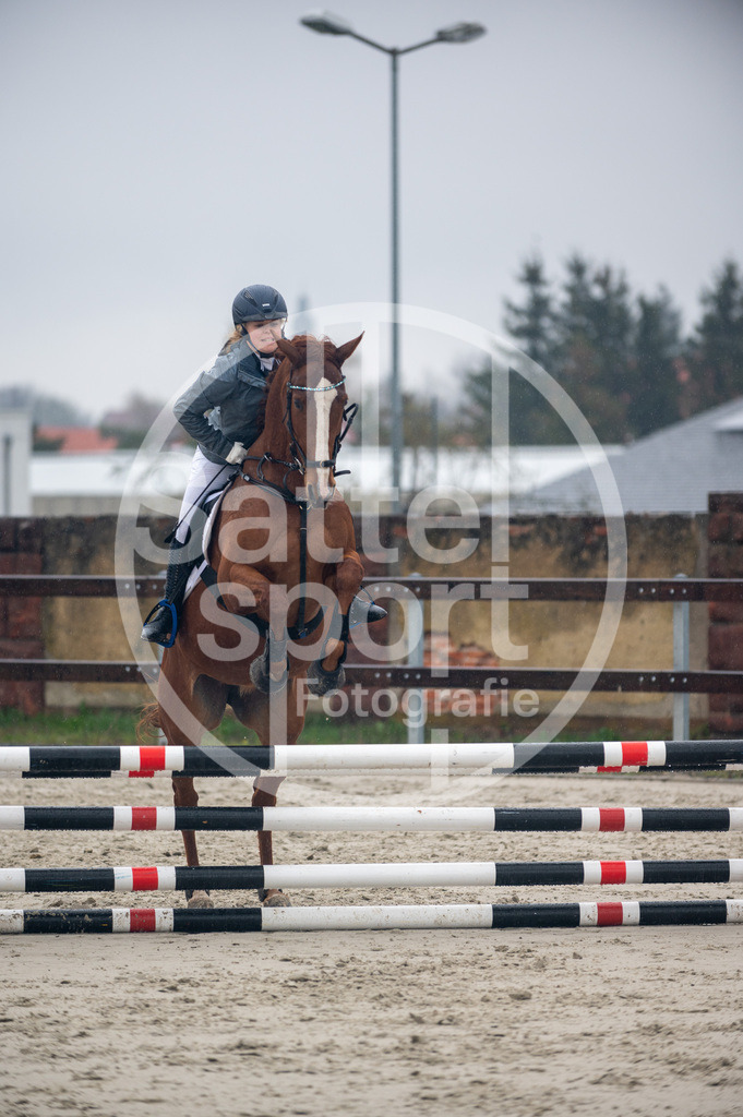 DSC_8740 | sattelsport - Realisiert mit Pictrs.com