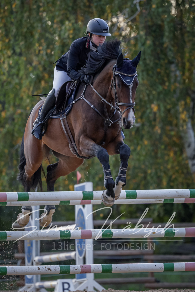 20251012-_3LI5845 | Tierfotografie Pferde, Hunde, Katzen, Haustiere.
Turnierfotografie Reitturniere, Reiten, Springreiten, Dressur in Hanau, dem Main-Kinzig-Kreis und dem Rhein-Main- Gebiet um Frankfurt