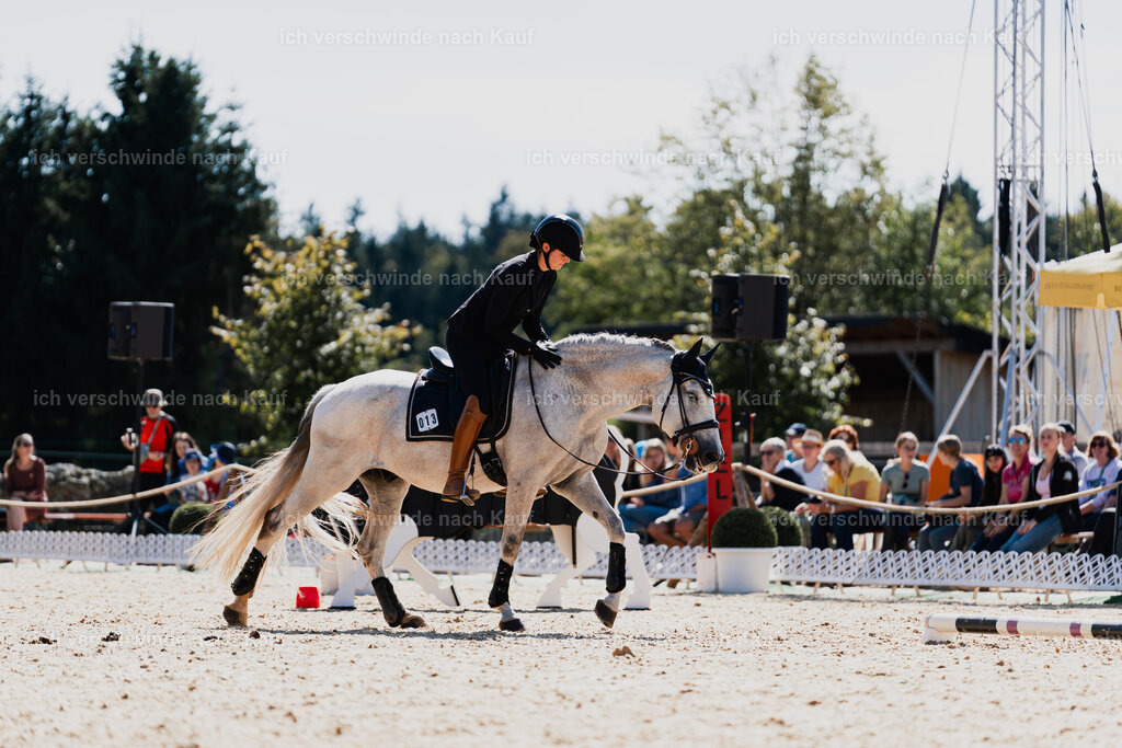 Svea13FHC2025-08771 | working equitationturnier fotograf videograf stoibphotography marixx film working equitation deutschland reitsport turnierfotografie eventfotografie equestrian events
