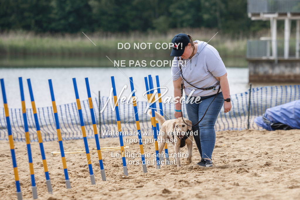 nelerasche_BuHu2026_So1530-Ende_66 | nelerasche