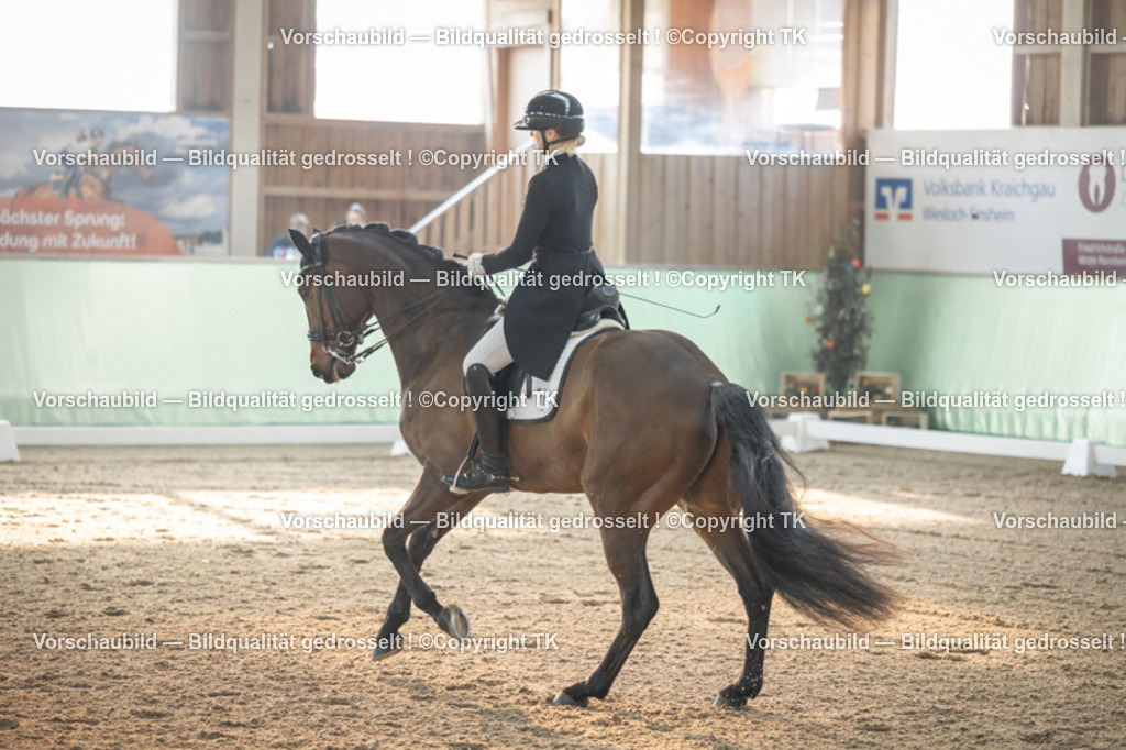 _D5A7784 | Emotionale Pferde- & People-Fotografie rund um Heidelberg, Leimen & Umgebung. Natürliche Fotos von Pferd, Mensch & Familie. Jetzt Termin sichern!