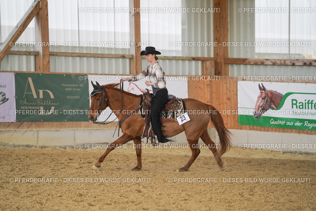 DSC00065 | Pferdegrafie