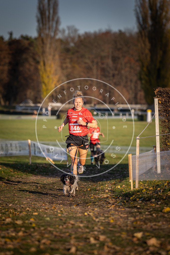 CaniXpix_DV3A3776 | Hundefotografie, Tierfotograf, Pfotenfotografie, Fotoshooting Hund, Hunde Portrait, Hundesport, Hundeportraits, Heideshooting, Hunde, Sportfotograf, Hundefotograf, Turnierhundsport, THS,  - Realisiert mit Pictrs.com