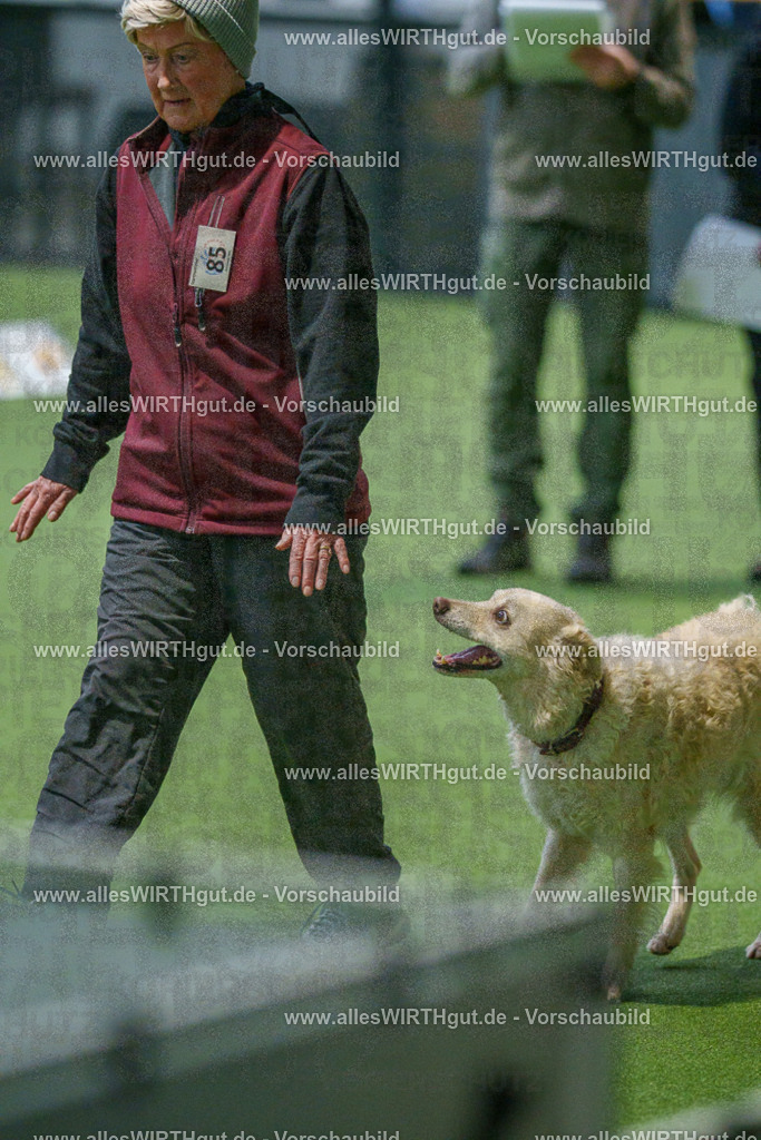 7R507980 | Professionelle Tierfotografie in Mönchengladbach von Daniel Wirth (allesWIRTHgut). Liebevolle & natürliche Bilder von Hunden & Katzen für unvergessliche Erinnerungen.