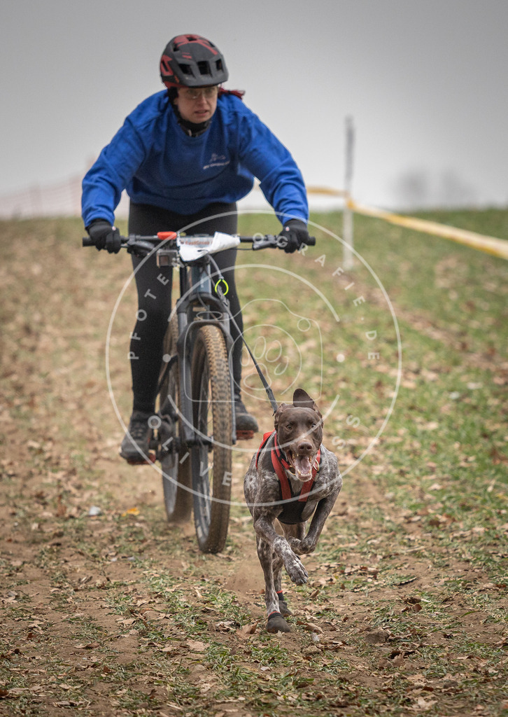 Pfotenfotografie_DV3A2865 | Hundefotografie, Tierfotograf, Pfotenfotografie, Fotoshooting Hund, Hunde Portrait, Hundesport, Hundeportraits, Heideshooting, Hunde, Sportfotograf, Hundefotograf, Turnierhundsport, THS,  - Realisiert mit Pictrs.com