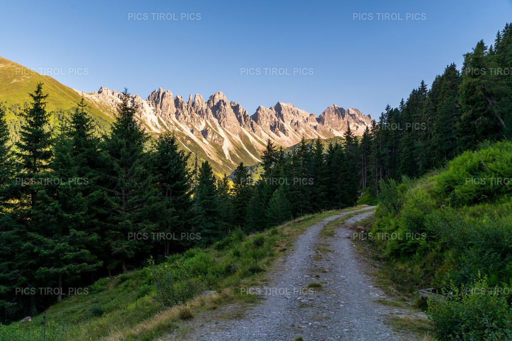 DSC_0345-Verbessert-RR-Bearbeitet | Tirolpics