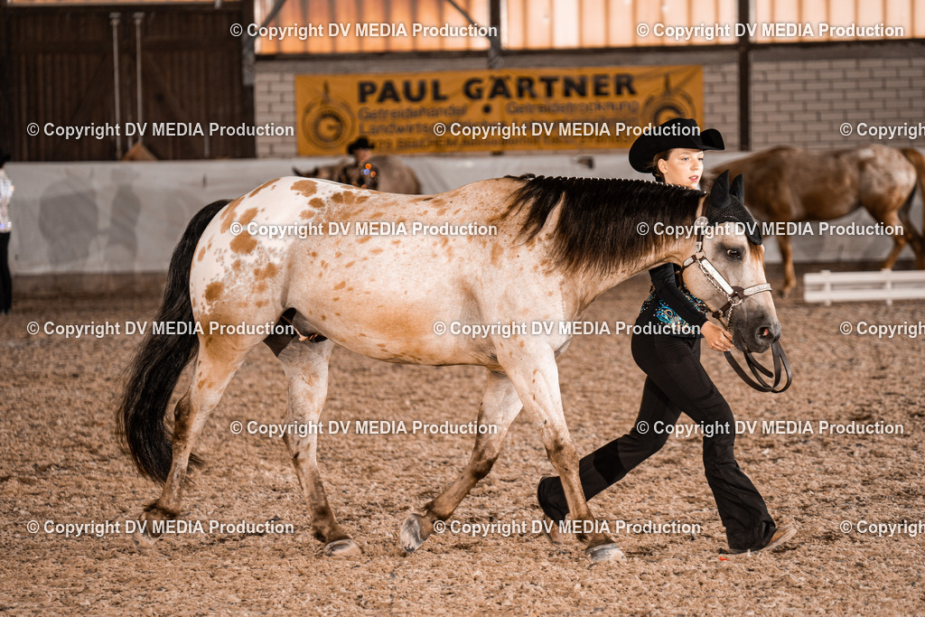 ZH200219 | dv-media-shop - Realisiert mit Pictrs.com