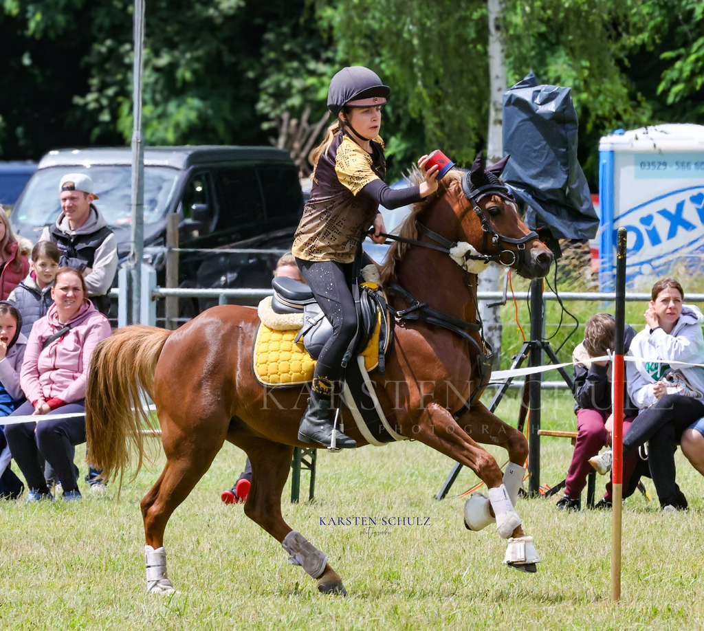 1B3A1156 | Reitsport Reiten