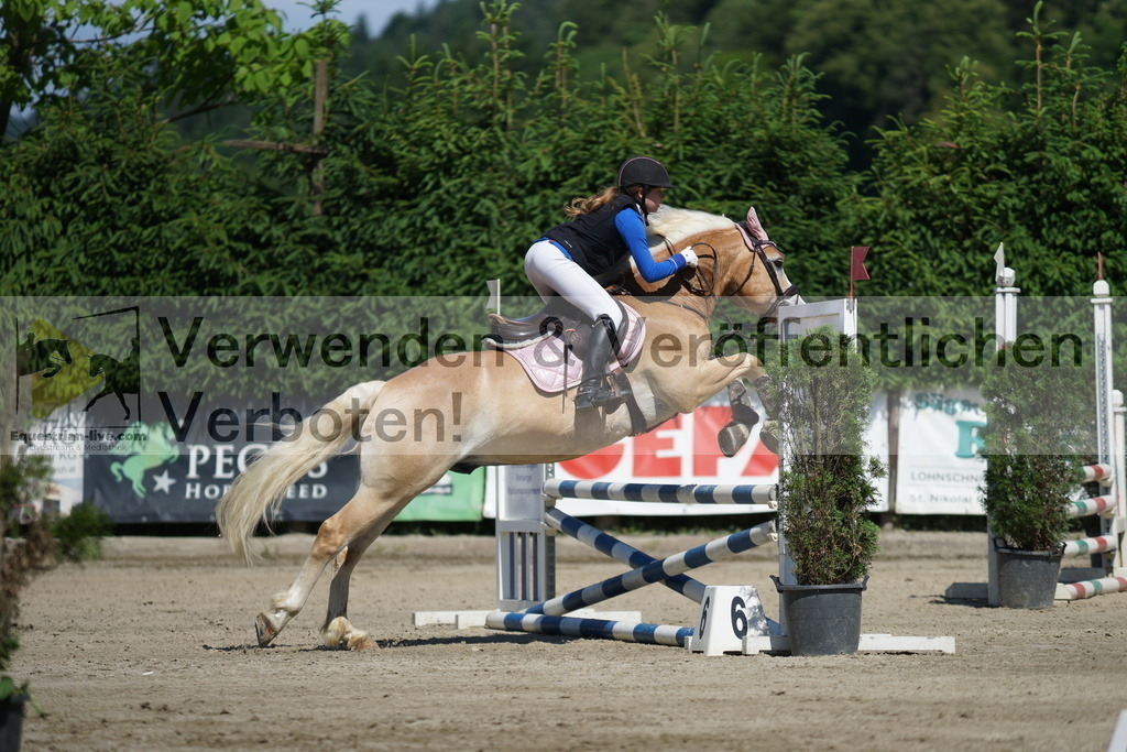 DSC06221 | equestrian-live-com