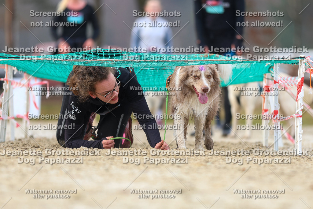 Dog Paparazzi - Strongdog North Mrz26-4146 | Dog Paparazzi Jeanette Grottendiek Fotografie & Videografie - Realisiert mit Pictrs.com
