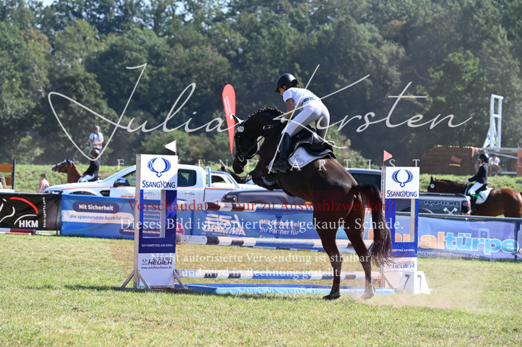 DSC_6387 | Pferde- und Turnierfotografie in Westsachsen. Pferdeportraits, Auftragszeichnungen und intuitive Kunst.