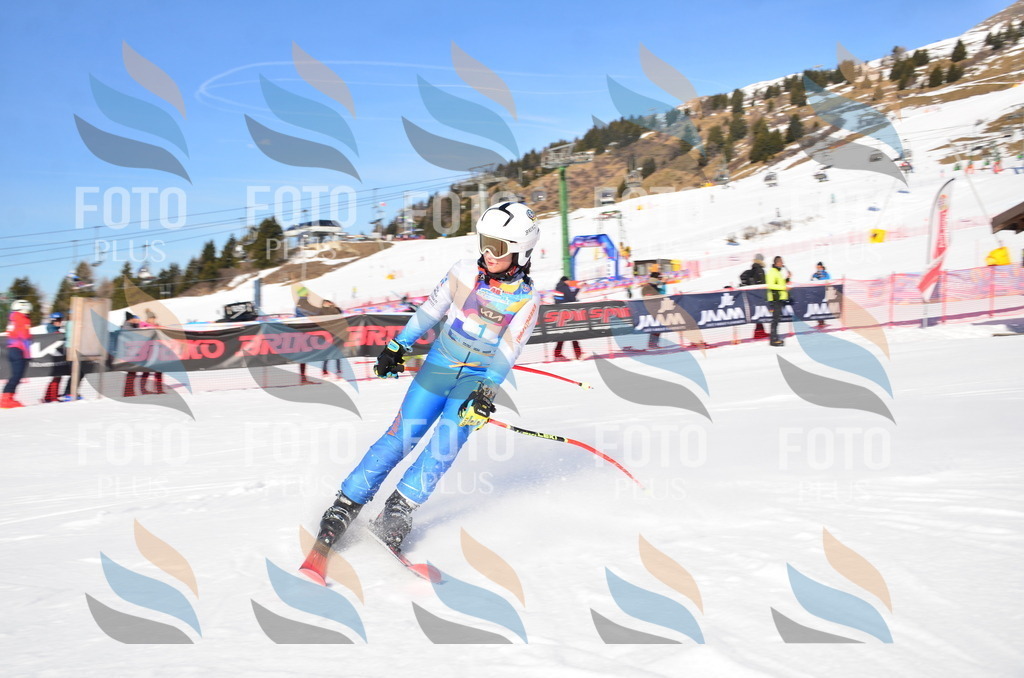 VR4_8328 | holidayphoto