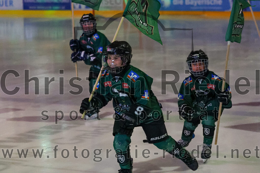 2026-01-18_019_TSV_Erding_gegen_Selber_Woelfe | Erding, Deutschland, 18.01.2026:Eishockey, Oberliga Süd 2025 / 2026, 38. Spieltag, TSV Erding gegen Selber Wölfe, Endergebnis: 2:3 n.V.Foto: Christian Riedel / fotografie-riedel.net