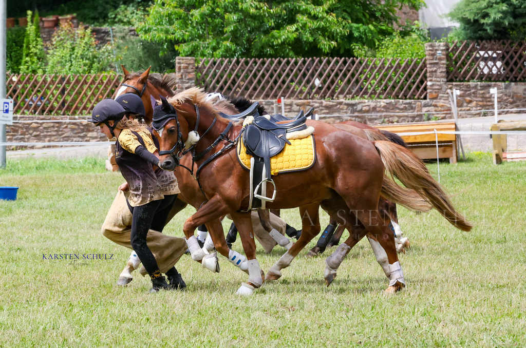 1B3A1703 | Reitsport Reiten