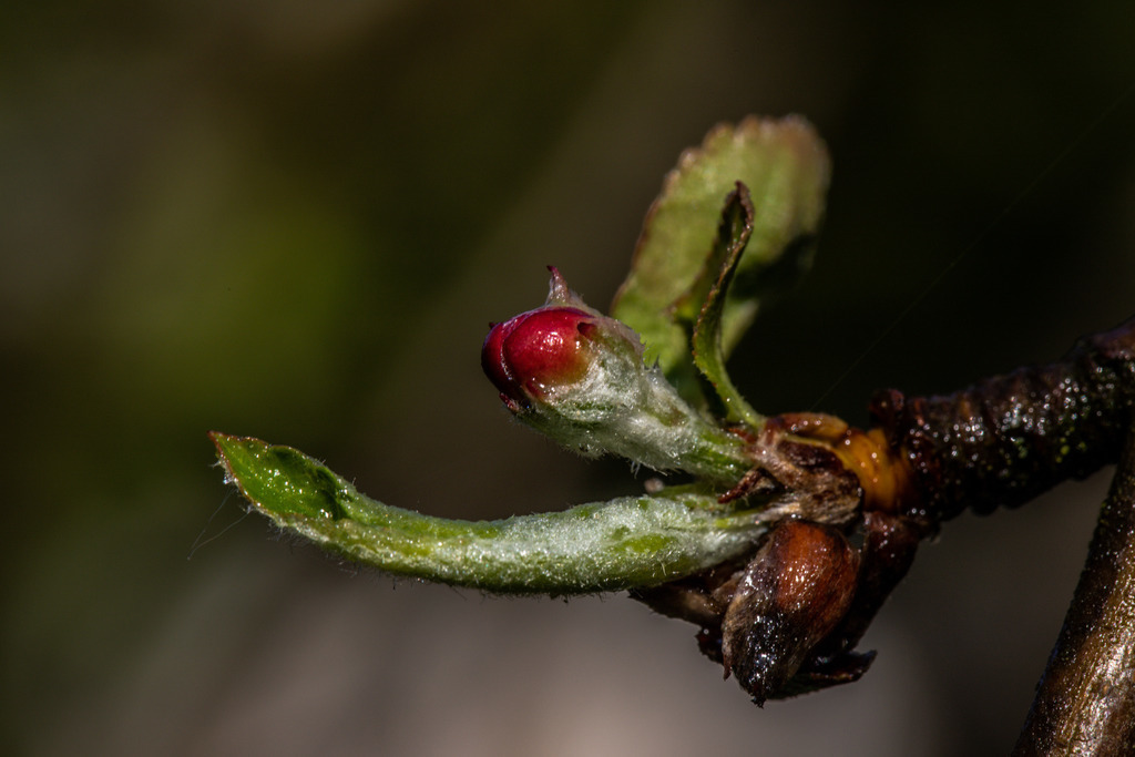 IMG_2402 | ehrlichefotos - Realisiert mit Pictrs.com