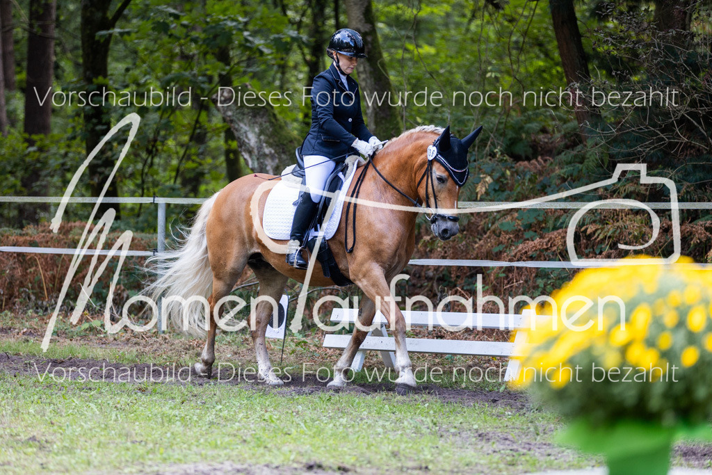 HB-Dressur-WB-059 | MomenTaufnahmen Pferdesportfotos