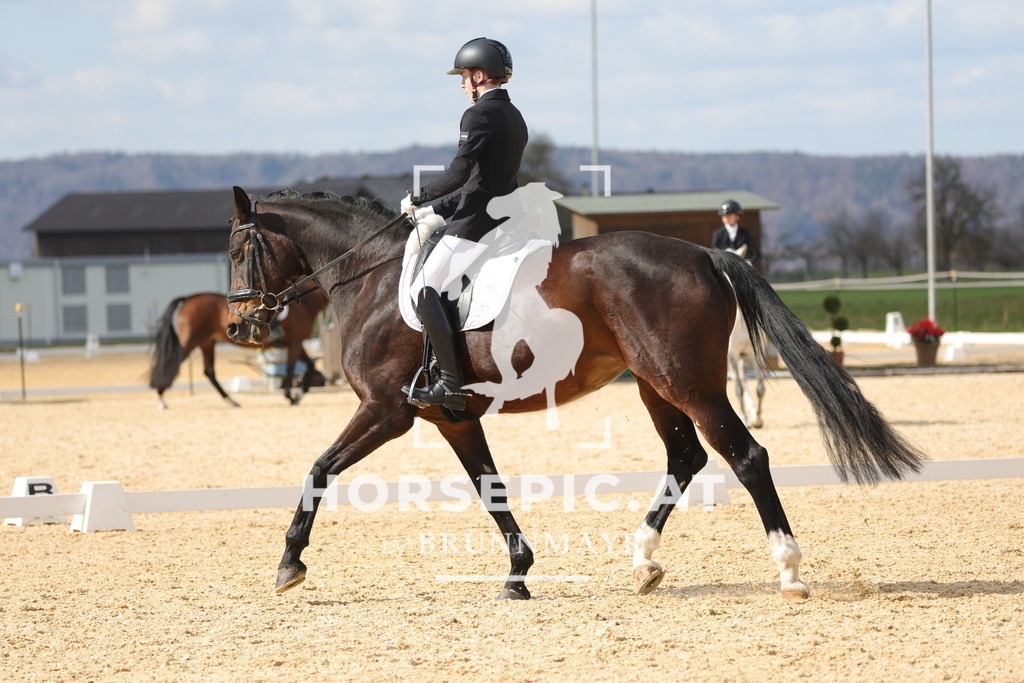 0P6A7770 | Willkommen bei Brunnmayr - Design & Fotografie – Ihrem Spezialisten für Reitturniere und Pferdeveranstaltungen in Oberösterreich, Salzburg und Bayern! Seit über 17 Jahren sind wir leidenschaftlich dabei.