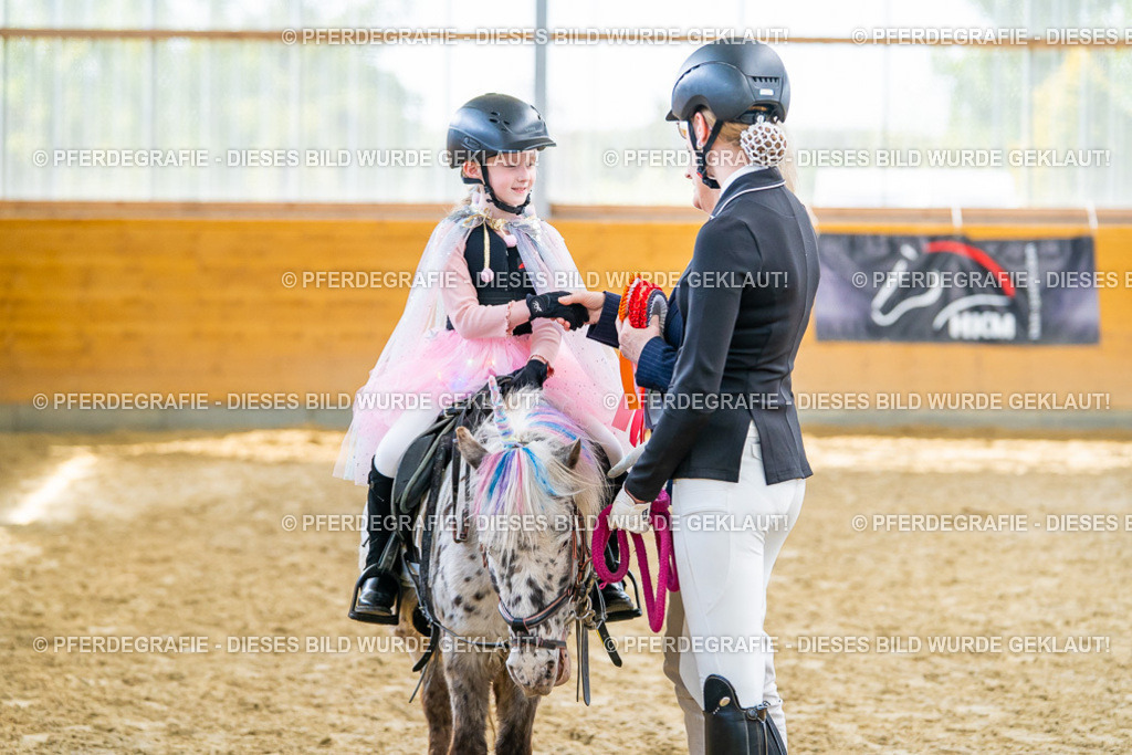 DSC00784 | Pferdegrafie