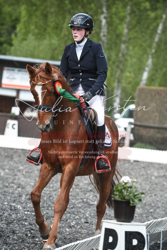 DSC_9087 | Pferde- und Turnierfotografie in Westsachsen. Pferdeportraits, Auftragszeichnungen und intuitive Kunst.