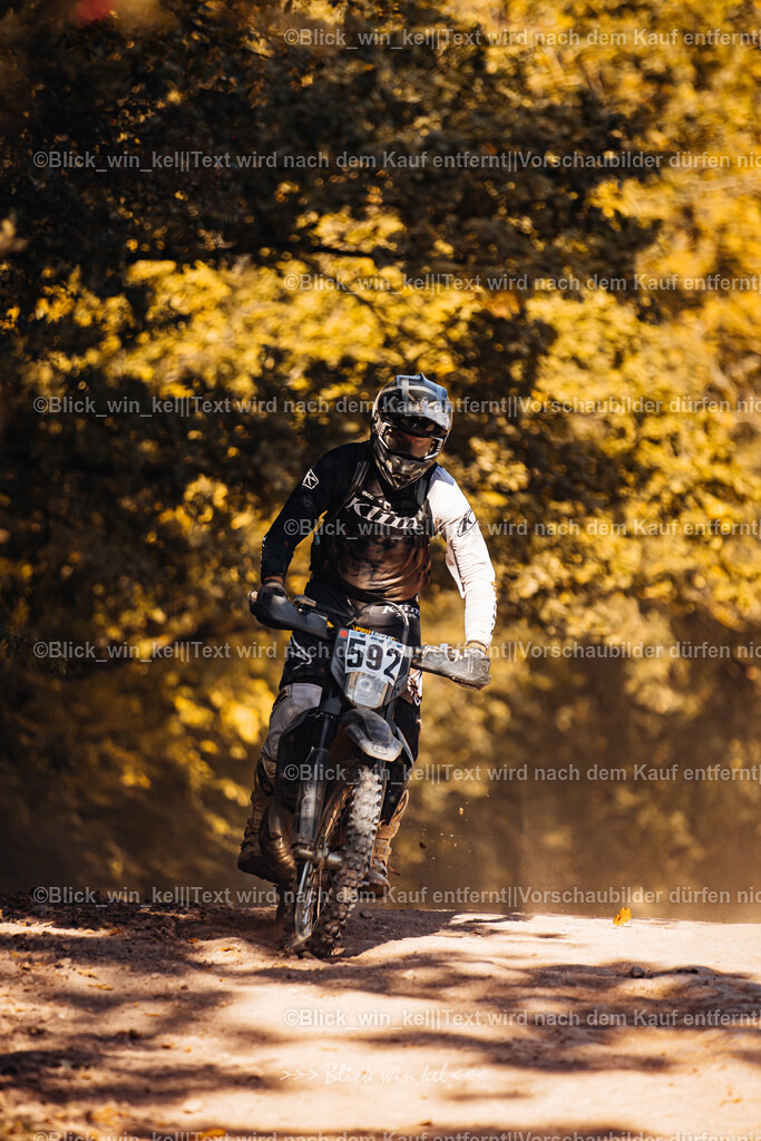 E68A7742 | blick_win_kel