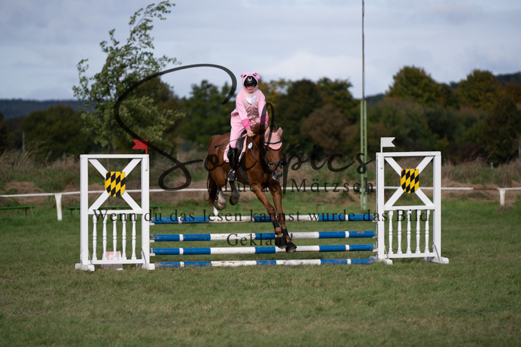 A7V06509 | Pferdefotograf