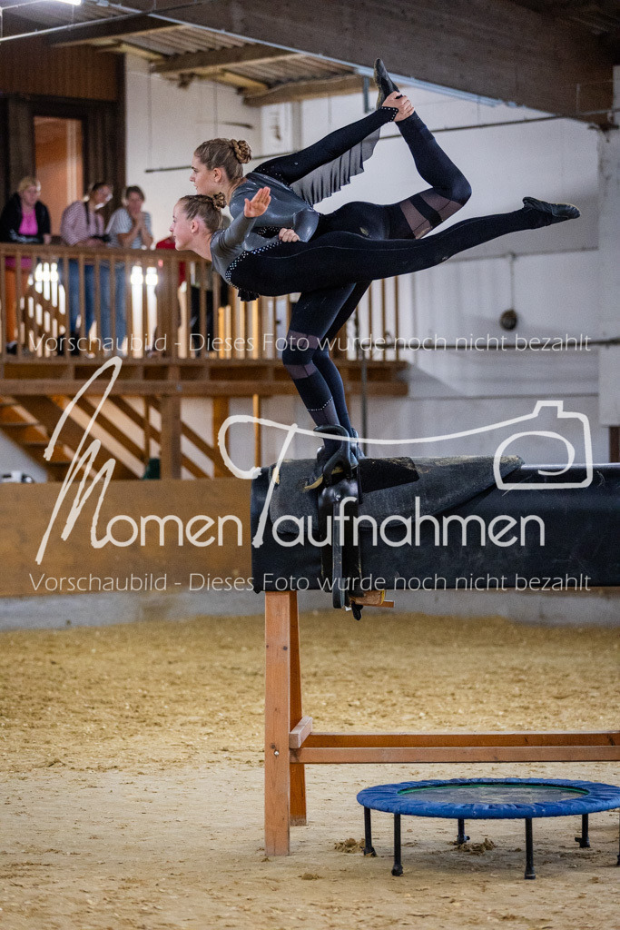 Holzpferd-034 | MomenTaufnahmen Pferdesportfotos