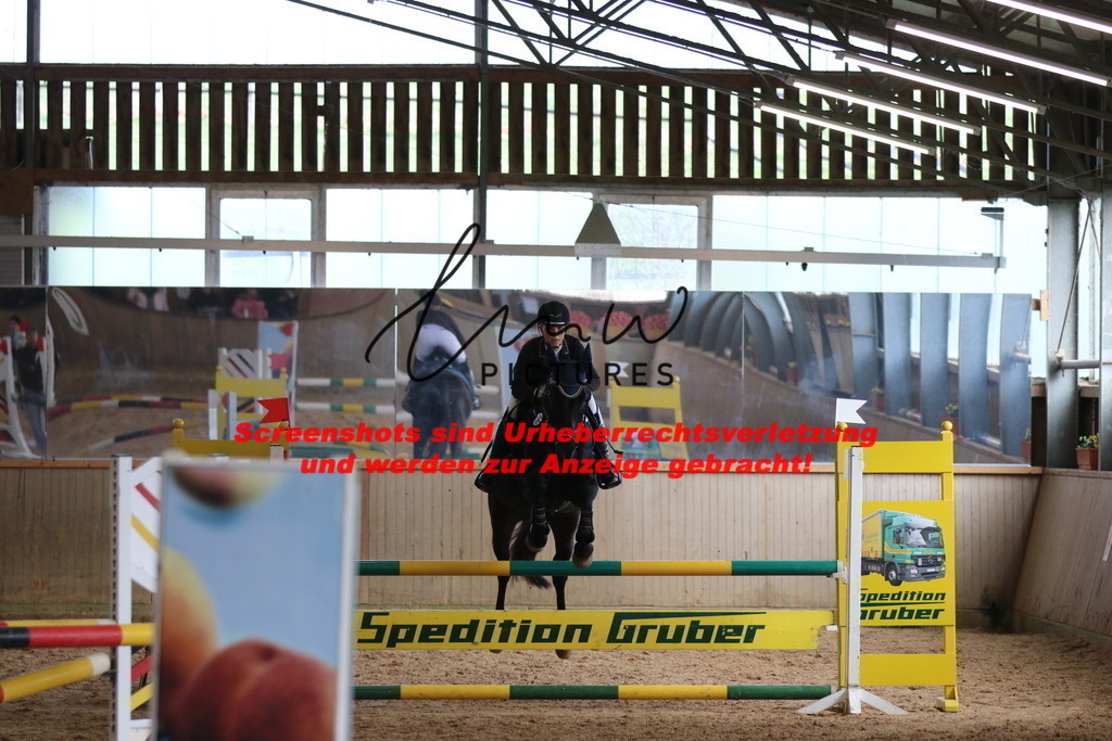 IMG_5971 | lmwpictures - Realisiert mit Pictrs.com