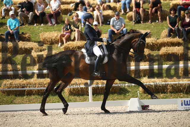 Birkhof_2022_GrandPrixSpecial_Anna Casper_Donna Clara 60 (4) | Alle Fotos der Reiterjournal Fotografin Doris Matthaes im Reiterjournal Online-Fotoshop. - Realisiert mit Pictrs.com