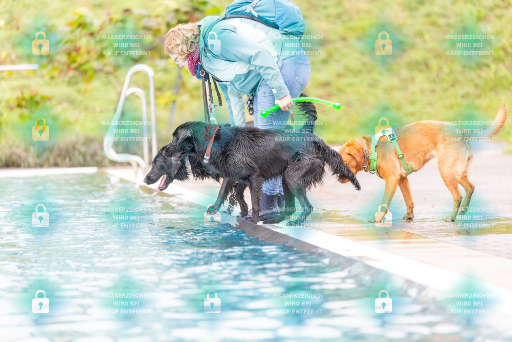 _HP_7318_1000o | HetPix, HetPix Fotodesign, Fotografie, Fotodesign, Webshop, Sportfotografie, Portraitfotografie, Onlineshop, Sportfotografie, Polch, Motorsportfotografie, Eventfotografie