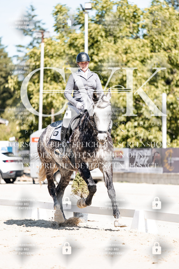 CK909065 | Turnierfotografie Pferdefotografie Trier Rheinland-Pfalz Pferdesport Reitsport Tierfotografie Sportfotografie Pferdevideo Pferdevideografie Equestrianvideography equestrianphotography  - Realisiert mit Pictrs.com