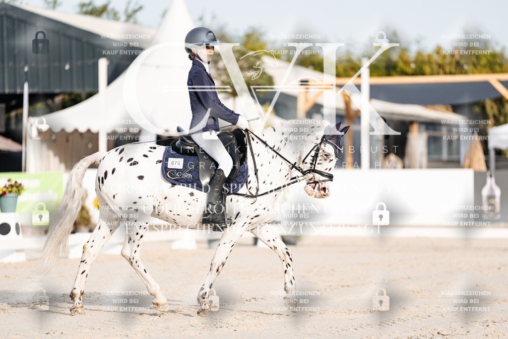 CK903651 | Turnierfotografie Pferdefotografie Trier Rheinland-Pfalz Pferdesport Reitsport Tierfotografie Sportfotografie Pferdevideo Pferdevideografie Equestrianvideography equestrianphotography  - Realisiert mit Pictrs.com