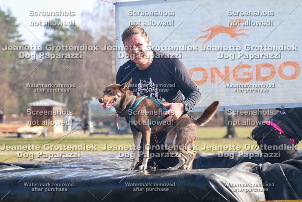 Dog Paparazzi - Strongdog North Mrz26-859 | Dog Paparazzi Jeanette Grottendiek Fotografie & Videografie - Realisiert mit Pictrs.com