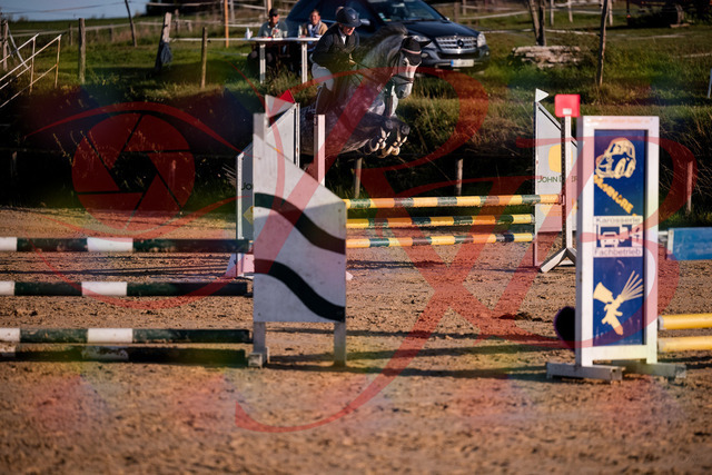 2026_10_03_Siefer-Hof_171356_Z81_10888227 | Professionelle Reitsport-, Turnier- und Eventfotografie von Robert Broda. Galerien mit ausgewählten und bearbeiteten Bildern direkt online ansehen und bestellen.