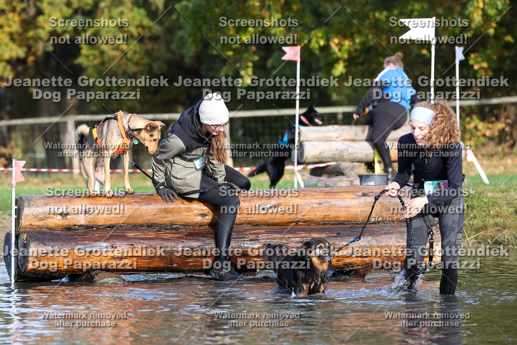 Dog Paparazzi - Strongdog 10-25-8417 | Dog Paparazzi Jeanette Grottendiek Fotografie & Videografie