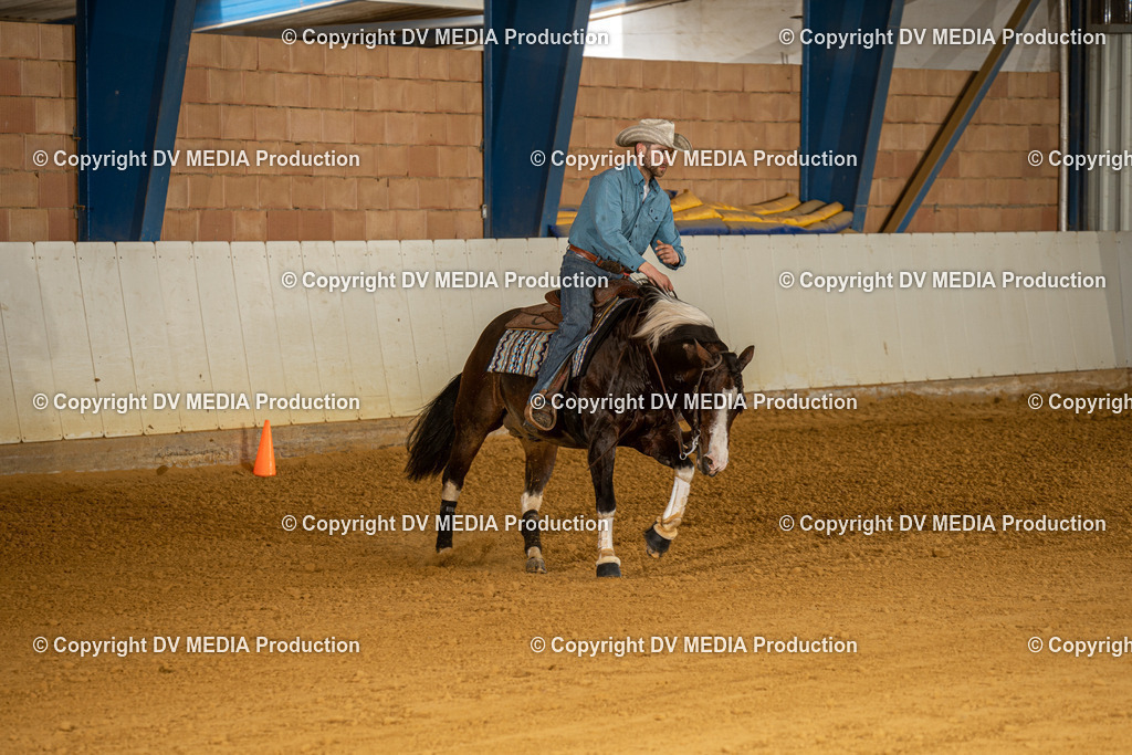 MIT01287 | dv-media-shop - Realisiert mit Pictrs.com