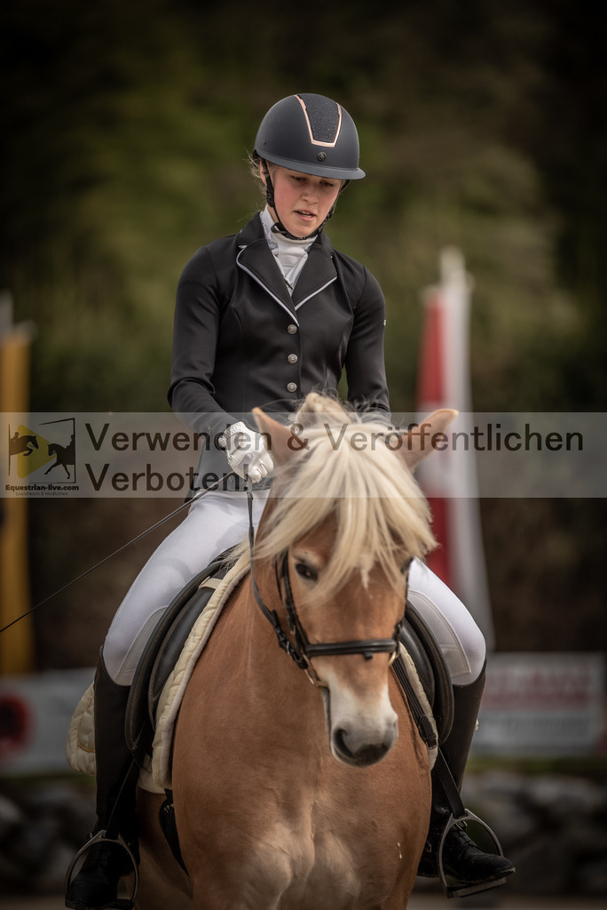 DSC_8123 | equestrian-live-com