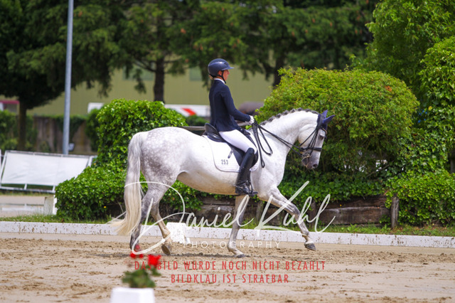 DKP40663 | Turniersportfotografie; Pferdefotografie; Dressurfotografie