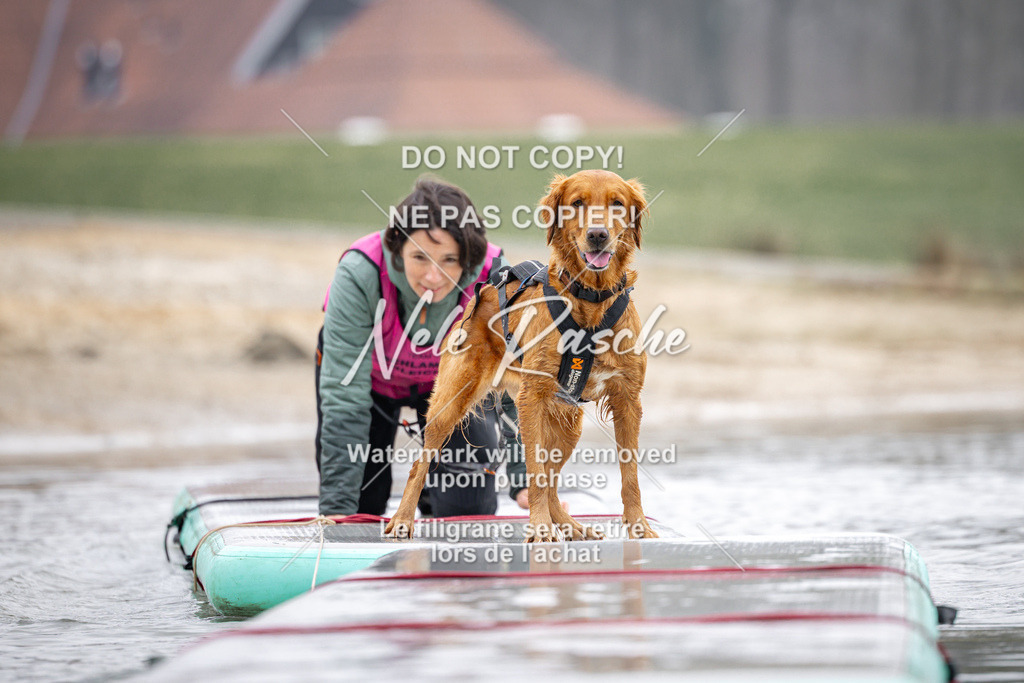 nelerasche_Hulsbeek_Sa1100-1130_218 | nelerasche
