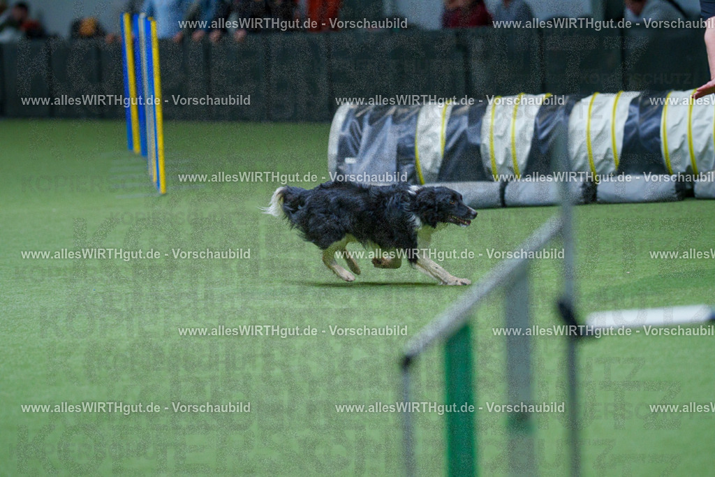 @allesWIRTHgut_Tierfotografie - www.allesWIRTHgut.de - 2604251101-7R500895 | Professionelle Tierfotografie in Mönchengladbach von Daniel Wirth (allesWIRTHgut). Liebevolle & natürliche Bilder von Hunden & Katzen für unvergessliche Erinnerungen.