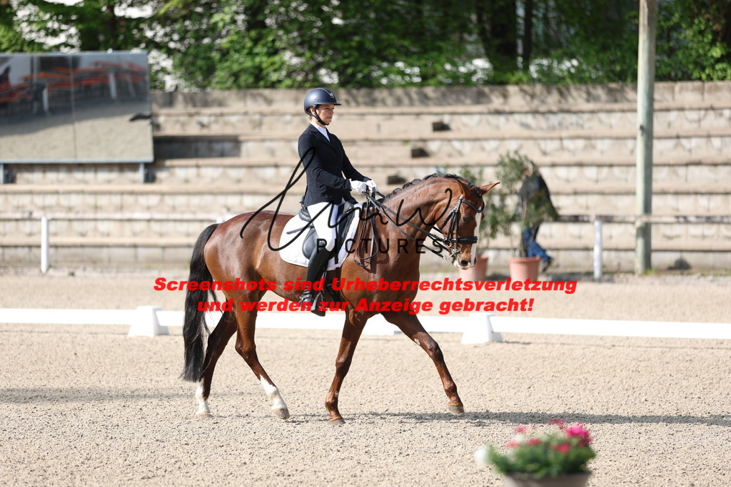 A40A3517 | lmwpictures - Realisiert mit Pictrs.com