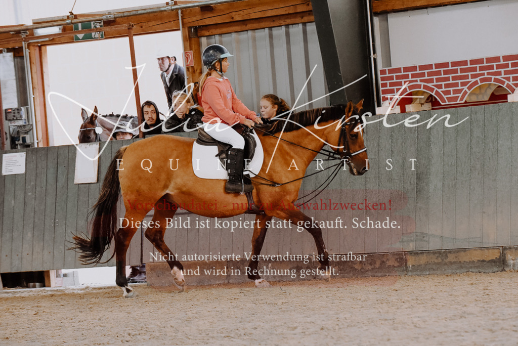 DSC_7530 | Pferde- und Turnierfotografie in Westsachsen. Pferdeportraits, Auftragszeichnungen und intuitive Kunst.