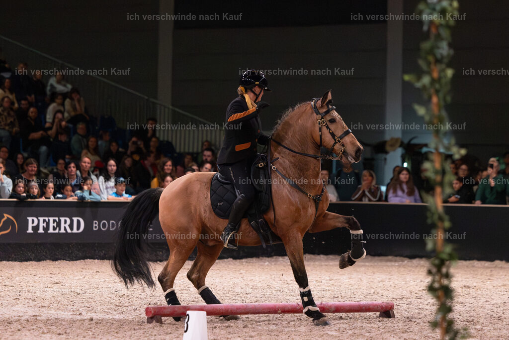 JoseraCup-213 | working equitationturnier fotograf videograf stoibphotography marixx film working equitation deutschland reitsport turnierfotografie eventfotografie equestrian events