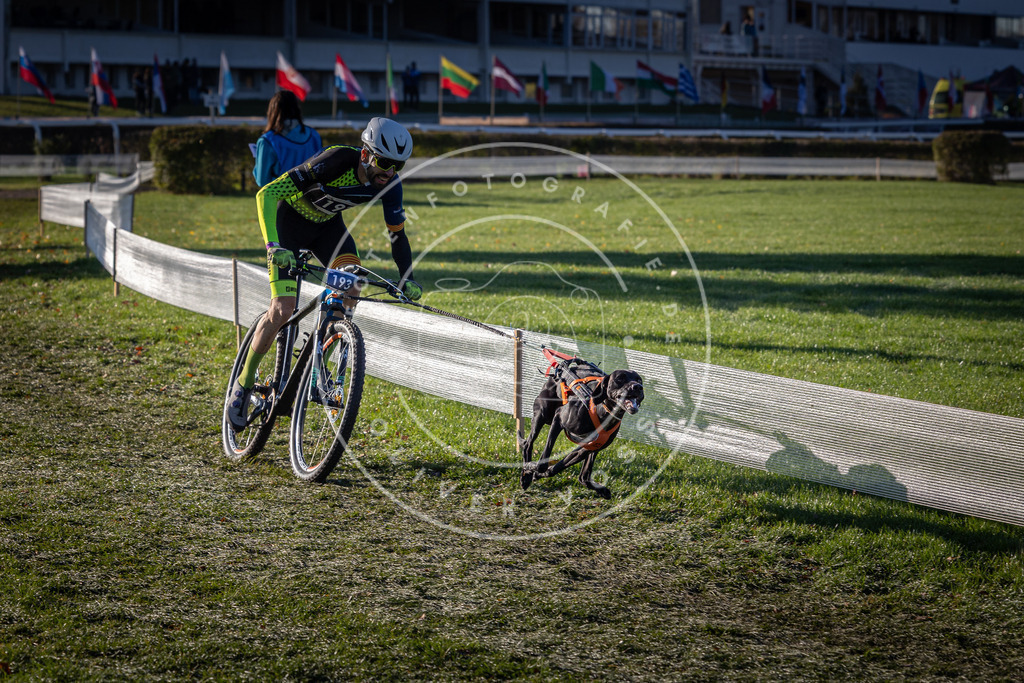 CaniXpix_0L8A4203 | Hundefotografie, Tierfotograf, Pfotenfotografie, Fotoshooting Hund, Hunde Portrait, Hundesport, Hundeportraits, Heideshooting, Hunde, Sportfotograf, Hundefotograf, Turnierhundsport, THS,  - Realisiert mit Pictrs.com