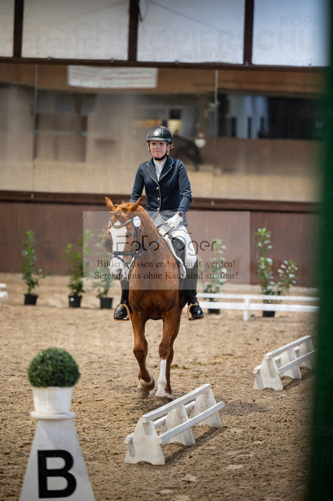 Hallenreittunier Voxtrup 2023 | Entdecke hochwertige Reitturnierfotos von Foto Oger. Professionell, emotional und authentisch – jetzt Lieblingsmomente im Shop bestellen.Deutschlandweite Turnierfotografie. - Realisiert mit Pictrs.com